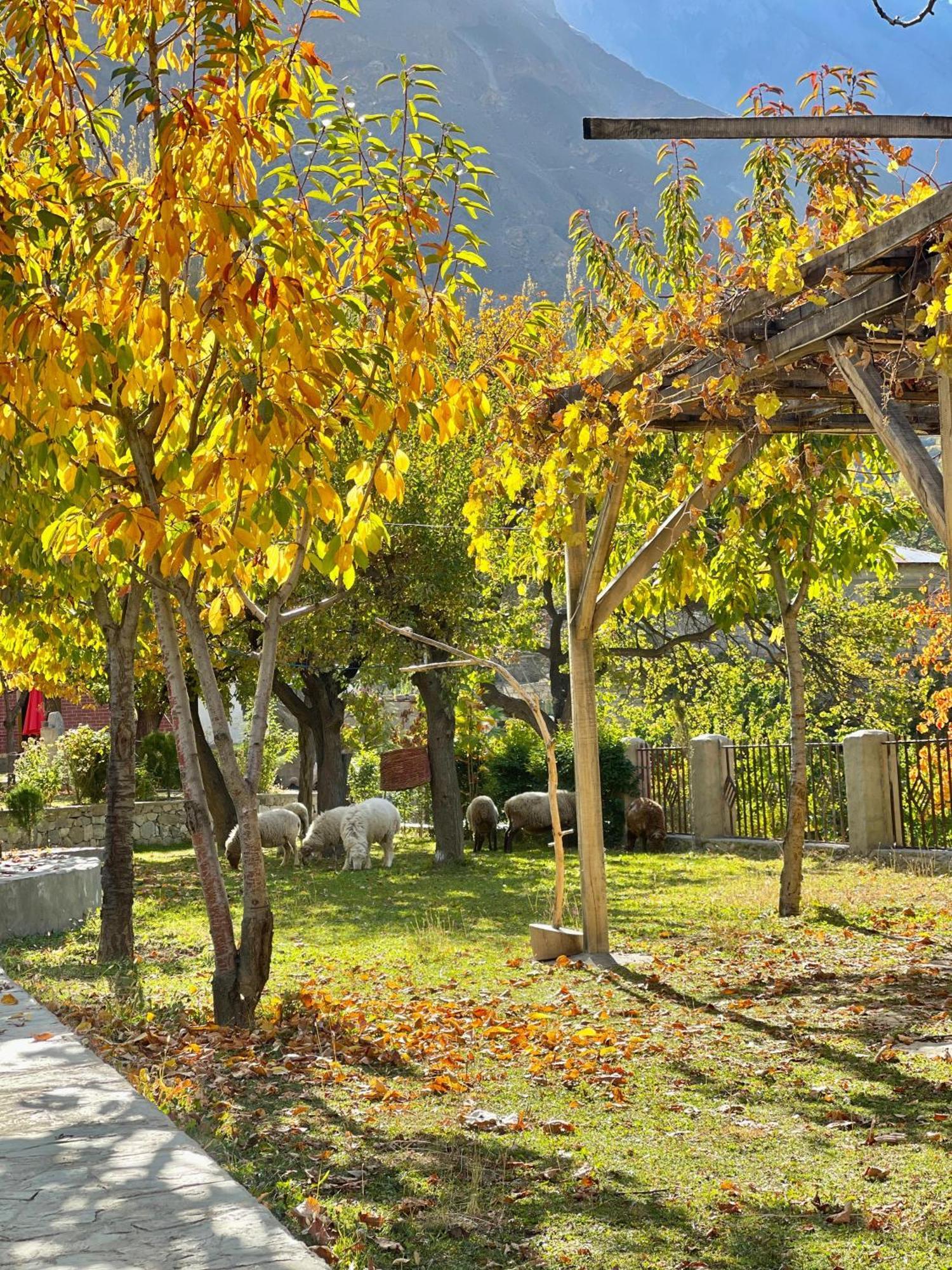 Dumani Nagar Hotel & Resort Karimabad (Hunza) Exterior foto